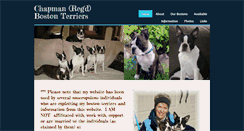 Desktop Screenshot of chapmanbostonterriers.com
